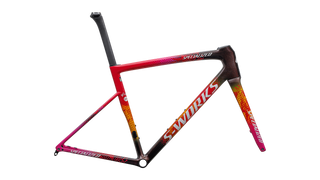 2025 Specialized S-Works Tarmac SL8 Team Frameset: SD Worx - Protime