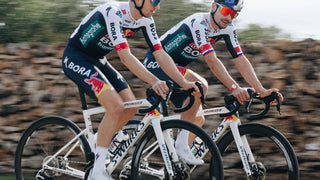 Specialized S-Works Tarmac SL8 Team Frameset - Red Bull - BORA - hansgrohe  - Red Bull Bora, White