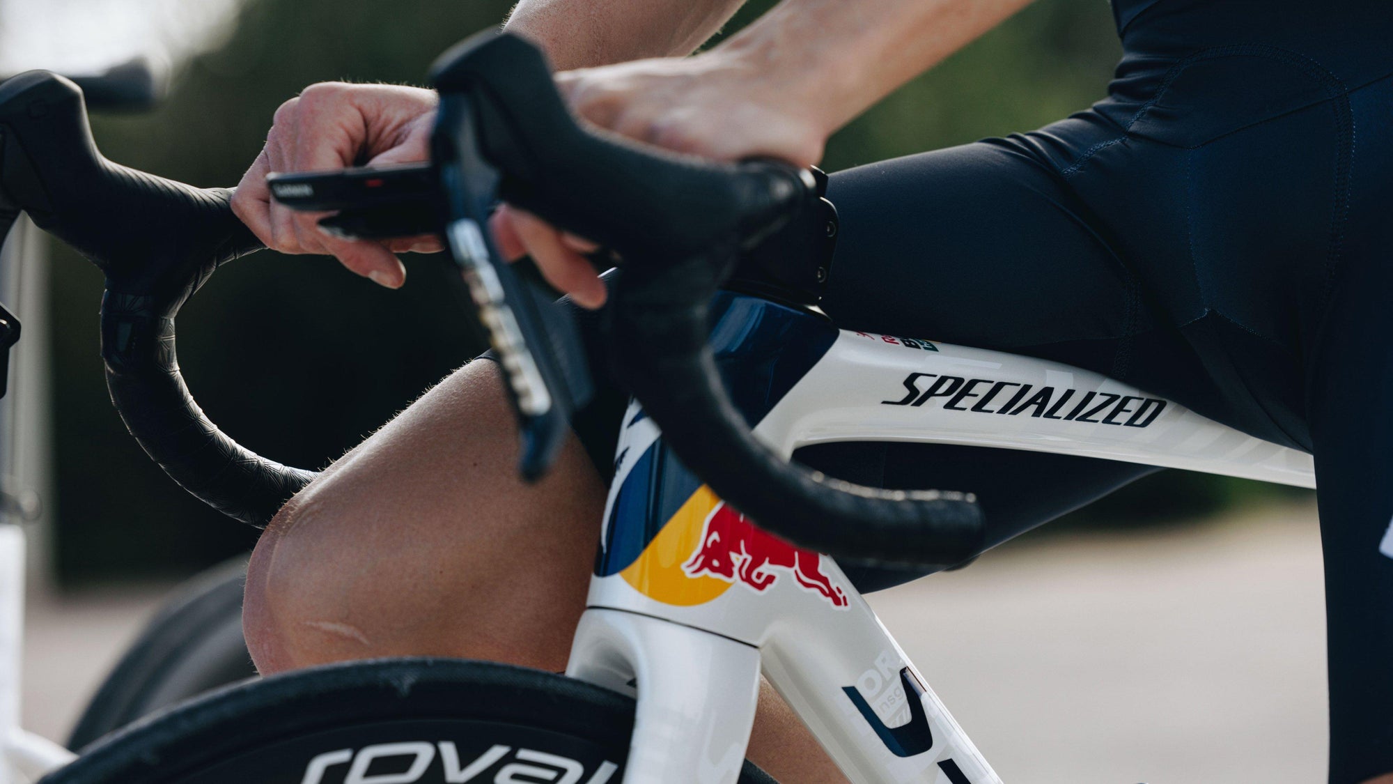 Specialized S-Works Tarmac SL8 Team Frameset - Red Bull - BORA - hansgrohe  - Red Bull Bora, White