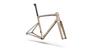 2027 Tarmac SL9 Frameset - FACT 10r Carbon - Gloss Photon Tint / White Silver Metallic