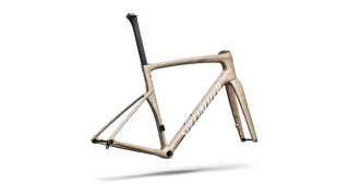 2027 Tarmac SL9 Frameset - FACT 10r Carbon - Gloss Photon Tint / White Silver Metallic