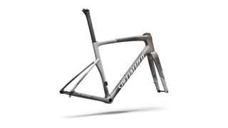 2027 Tarmac SL9 Frameset - FACT 10r Carbon - Satin Smoke Metallic / Silver Dust