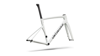2027 Tarmac SL9 Frameset - FACT 10r Carbon - Gloss White Silver Metallic / Tarmac Black