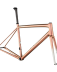 Specialized S-Works Aethos Frameset - FACT 12r Carbon - Flake Silver/Red Gold Chameleon Tint/Brushed Chrome