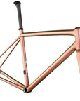 Specialized S-Works Aethos Frameset - FACT 12r Carbon - Flake Silver/Red Gold Chameleon Tint/Brushed Chrome