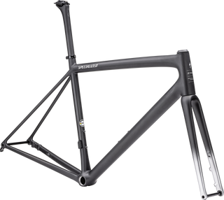 Specialized Aethos Frameset - FACT 10r Carbon - Satin Carbon/Flake Silver