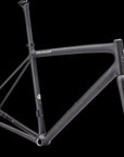 Specialized Aethos Frameset - FACT 10r Carbon - Satin Carbon/Flake Silver