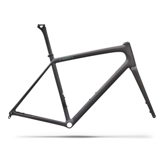 Specialized S-Works Aethos 2 Frameset - FACT 12r Carbon - Rtp Raw Carbon / Premium Fjord Metallic