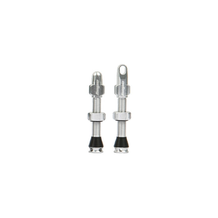 Hope Tubeless Valve Pair - 60MM Silver
