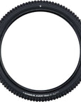 Schwalbe Albert 29 x 2.50 Trail Pro Radial ULTRA Soft Compound TUBELESS