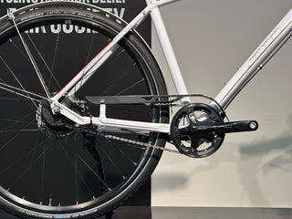 Polygon Zenith DX  Large 2013