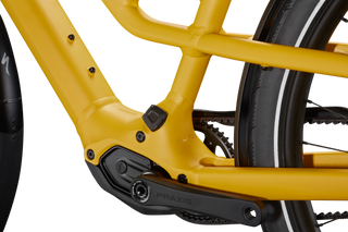 Specialized Turbo Como SL 5.0 - Brassy Yellow / Transparent