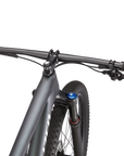 Specialized Epic Comp - Satin Carbon / Oil / Flake Silver