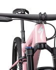 Specialized Epic Pro LTD - SRAM XO, RockShox Ultimate BRAIN - Gloss Desert Rose / Metallic White Silver
