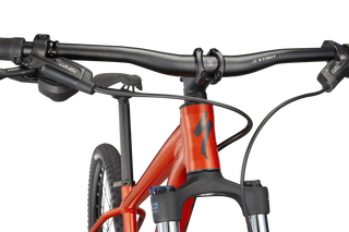Specialized Rockhopper Comp 29 - Gloss Redwood / Smoke
