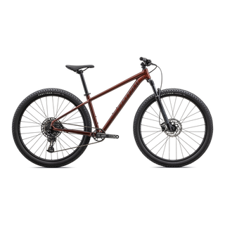 Specialized Rockhopper Expert 29 - Gloss Rusted Red / Satin Rusted Red
