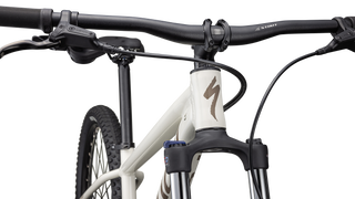 Specialized Rockhopper Comp 29 - Gloss Birch / Taupe