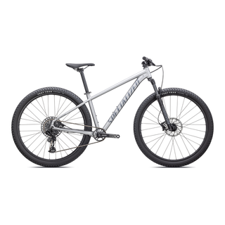 Specialized Rockhopper Expert 29 - Satin Silver Dust / Black Holographic