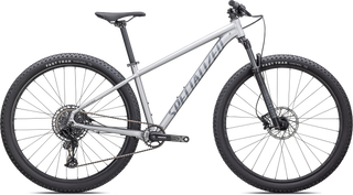 Specialized Rockhopper Expert 29 - Satin Silver Dust / Black Holographic