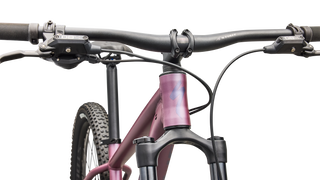Specialized Rockhopper Expert - Satin Quartz Metallic / Mauve Metallic