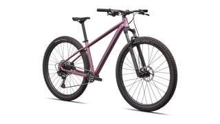 Specialized Rockhopper Expert - Satin Quartz Metallic / Mauve Metallic