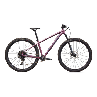 Specialized Rockhopper Expert - Satin Quartz Metallic / Mauve Metallic