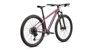 2026 Specialized Rockhopper Expert