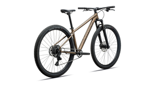 Specialized Rockhopper Sport - Gloss Burnt Gold Metallic / Stallion Metallic