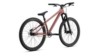 Specialized P.3 - Satin Spice / Olive