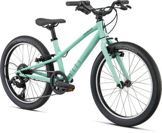 Specialized Jett 20 - Gloss Oasis / Forest Green
