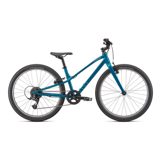 Specialized Jett 24 - Gloss Teal Tint / Flake Silver