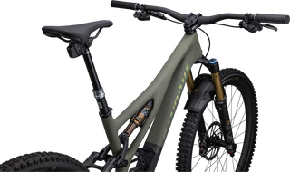 Specialized S-Works Stumpjumper LTD - SRAM X01 AXS, FOX Factory - Satin Oak Green / Oak Green Metallic / Gold Ghost Pearl