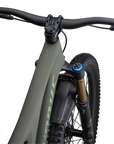 Specialized S-Works Stumpjumper LTD - SRAM X01 AXS, FOX Factory - Satin Oak Green / Oak Green Metallic / Gold Ghost Pearl