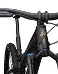 Specialized Stumpjumper Expert T-Type - Gloss Obsidian / Satin Taupe