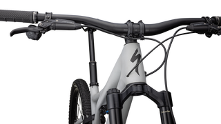 Specialized Stumpjumper LTD T-Type - SRAM GX AXS, RockShox Ultimate - Satin Dove Grey / Smoke