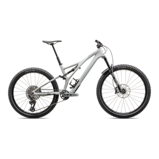 Specialized Stumpjumper LTD T-Type - SRAM GX AXS, RockShox Ultimate - Satin Dove Grey / Smoke