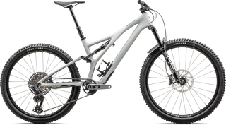 Specialized Stumpjumper LTD T-Type - SRAM GX AXS, RockShox Ultimate - Satin Dove Grey / Smoke