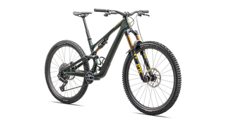 2025 Specialized Stumpjumper 15 Pro