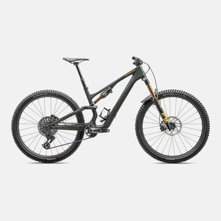 2025 Specialized Stumpjumper 15 Pro