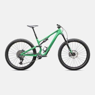 2025 Specialized Stumpjumper 15 Expert