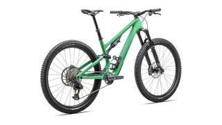 2025 Specialized Stumpjumper 15 Expert