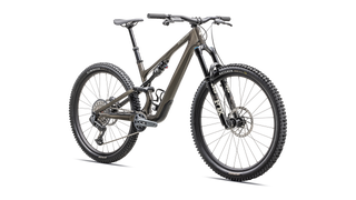 Specialized Stumpjumper 15 Expert - Gloss Gunmetal / White Mountains