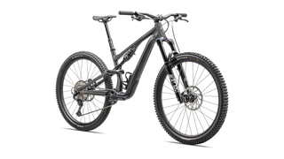2025 Specialized Stumpjumper 15 Comp Alloy