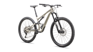 2025 Specialized Stumpjumper 15 Alloy