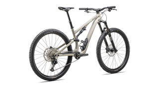 2025 Specialized Stumpjumper 15 Alloy