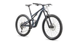 Specialized Stumpjumper 15 Alloy - Satin Cast Blue / Dove Grey