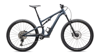 Specialized Stumpjumper 15 Alloy - Satin Cast Blue / Dove Grey