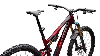 Specialized S-Works Stumpjumper 15 EVO - Gloss Solidity Metallic / Bordeaux Metallic / Brushed Chrome