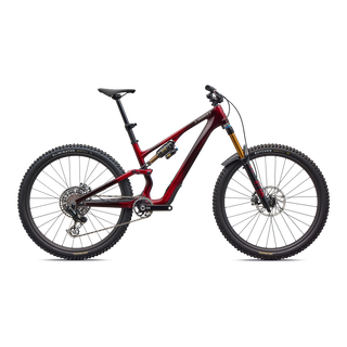 Specialized S-Works Stumpjumper 15 EVO - Gloss Solidity Metallic / Bordeaux Metallic / Brushed Chrome