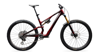 Specialized S-Works Stumpjumper 15 EVO - Gloss Solidity Metallic / Bordeaux Metallic / Brushed Chrome